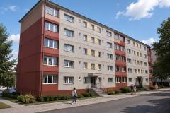 randari-trandafirilor-3