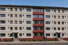 randari-trandafirilor1