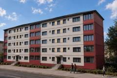 trandafirilor-randari-2
